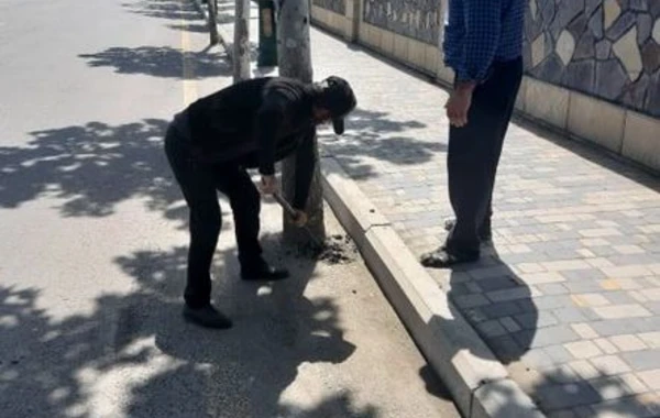 Azərbaycanda vəzifəli şəxs cəzalandırıldı - FOTO