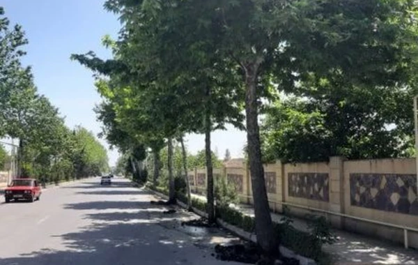 Azərbaycanda vəzifəli şəxs cəzalandırıldı - FOTO