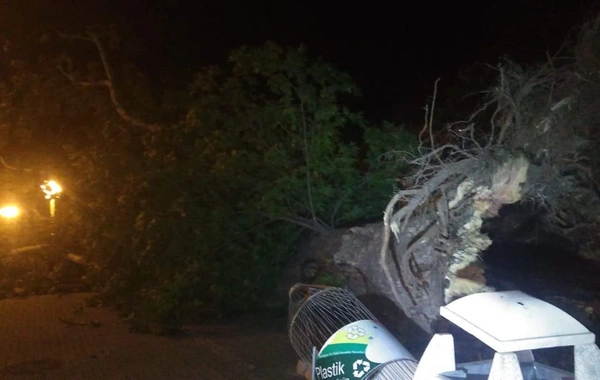 Qərb bölgəsində güclü külək bir sıra fəsadlara yol açdı - VIDEO/FOTO