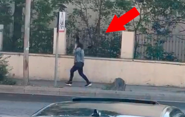 Bakıda Hiçkokun filmi gerçək oldu: Quşlar gənc qıza hücum çəkdilər - VİDEO