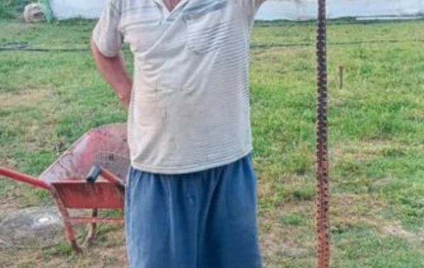 Azərbaycanda kəndə ilanlar hücum etdi - ŞOK GÖRÜNTÜLƏR