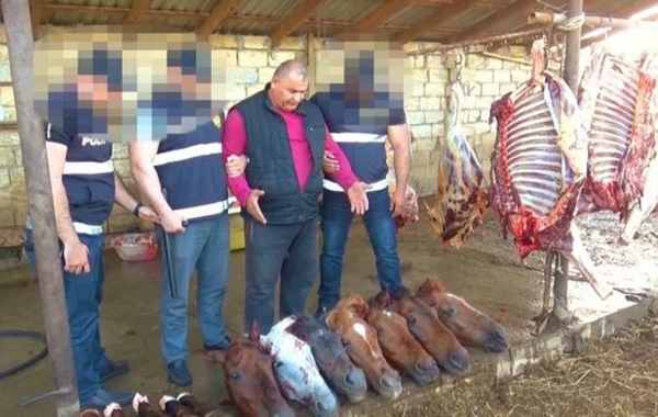 В Билясуваре задержаны члены группировки, продававшей мертвечину - ФОТО/ВИДЕО