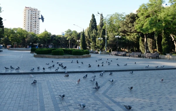 Sükuta qərq olan Bakıdan FOTOREPORTAJ
