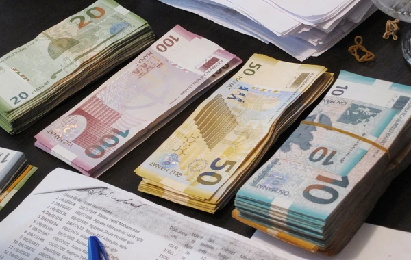 YAP-ın koronavirusla mübarizə üçün ayırdığı pulun həcmi açıqlandı