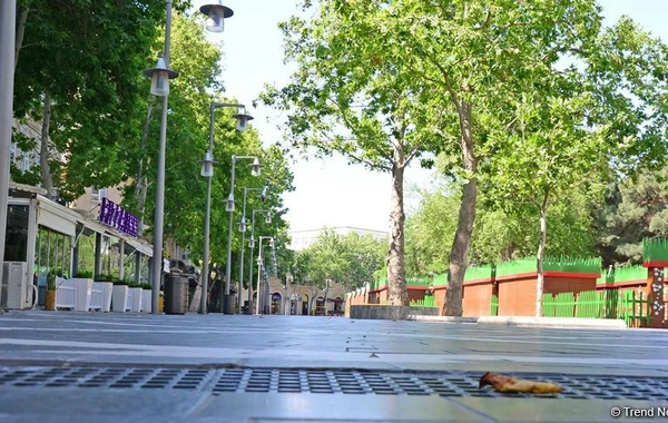 “Tarqovı” növbəti sərt karantin rejimində - FOTO