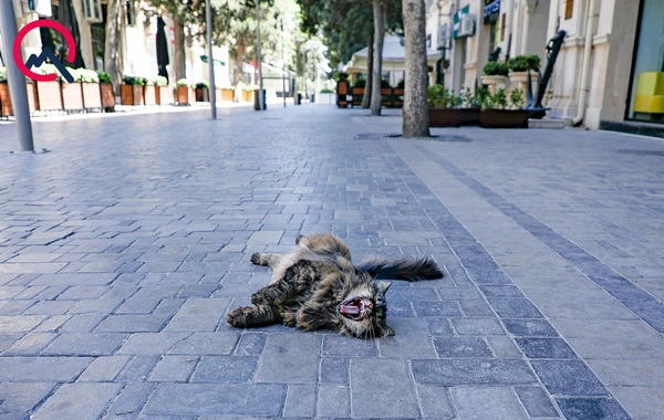 Bakını heç vaxt belə görməmişdiniz - FOTO