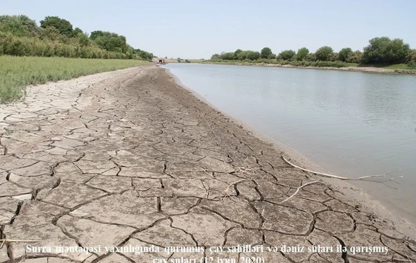 Названы причины снижения уровня воды в низовьях Куры - ФОТО