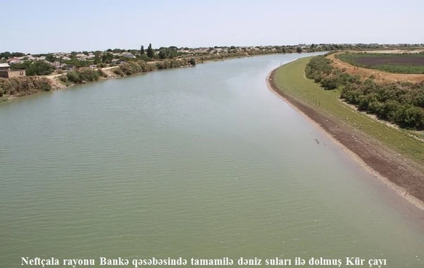 Названы причины снижения уровня воды в низовьях Куры - ФОТО