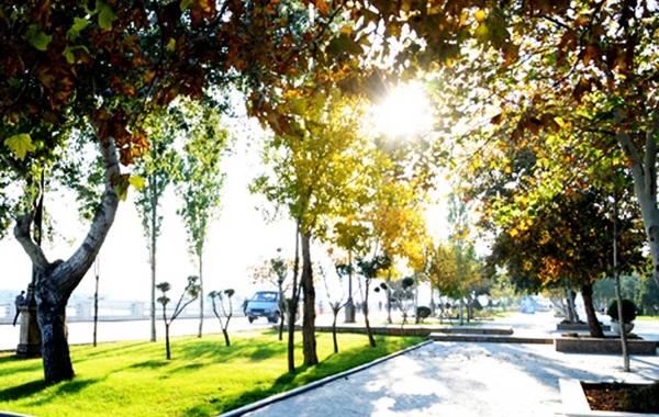 Sabah 35 dərəcəyədək isti olacaq