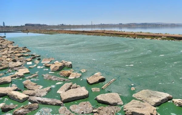 “Azərsu” rəsmisi: “Sobsan” boya fabrikinin tullantı suları da birbaşa Böyükşor gölünə tökülür"”- FOTO