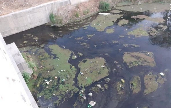Azərbaycanda daha bir çay ekoloji böhranla üz-üzədir - FOTO