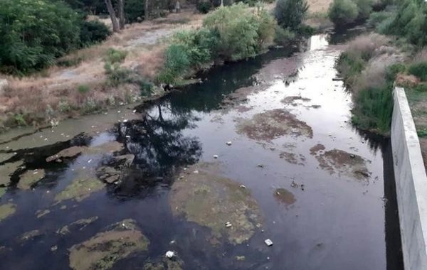 Azərbaycanda daha bir çay ekoloji böhranla üz-üzədir - FOTO