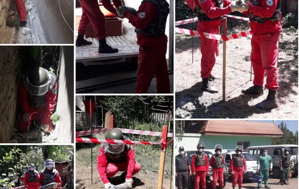 Tovuzun Dondar Quşçu kəndində partlamamış top mərmisi tapılıb - FOTO
