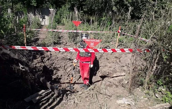 Tovuzda bağ sahəsində ermənilərin atdığı top mərmisinin qalıqları tapılıb - FOTO