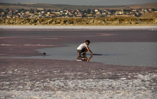 Azərbaycanın çəhrayı su hövzəsi: Şəfalı Masazır gölü - FOTOREPORTAJ
