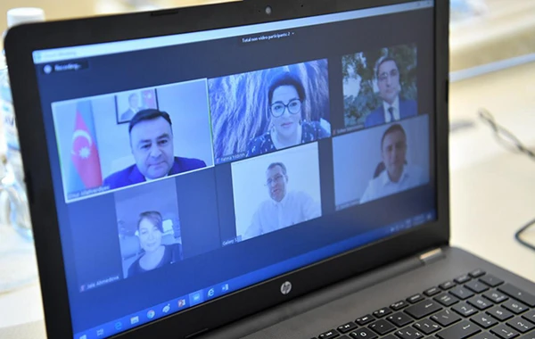 Deputat erməni təxribatıyla bağlı səfirlə videoformatda görüşdü - FOTO