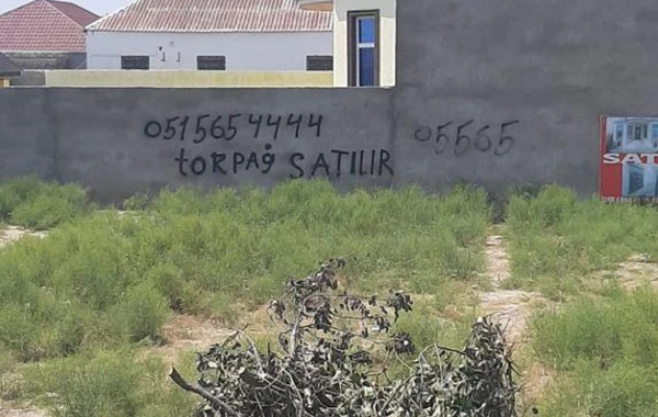 Minlərlə insan aldadılaraq neft mədəni ərazisində yaşamağa məhkum edilib - REPORTAJ