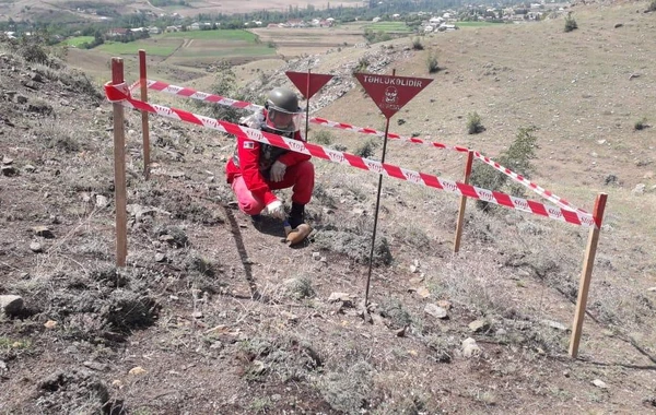 Tovuzda top mərmisi aşkarlandı