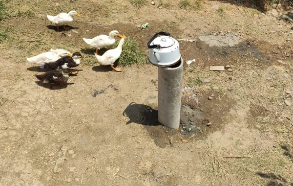 Lənkəran sakininin qazdığı su quyusundan təbii qaz çıxıb - VİDEO