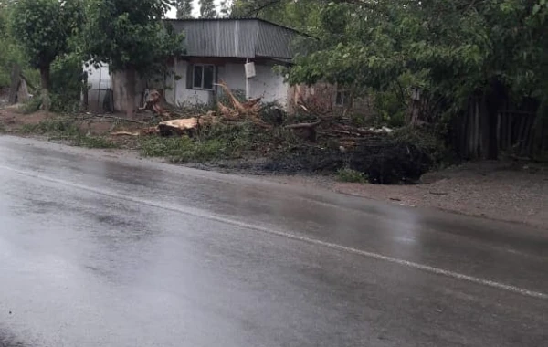 Şəmkirdə güclü külək 40 evə ziyan vurdu - FOTO