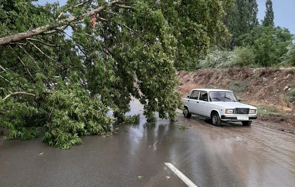 Şəmkirdə güclü külək 40 evə ziyan vurdu - FOTO
