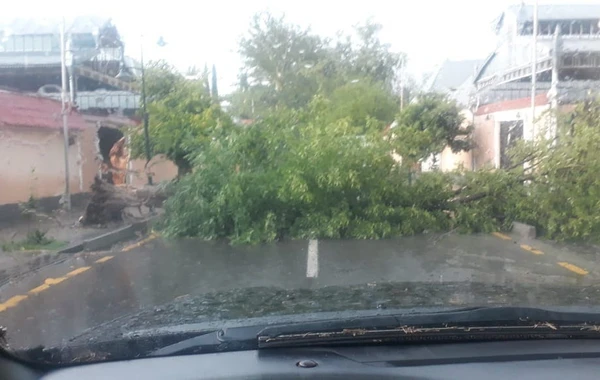 Şəmkirdə güclü külək 40 evə ziyan vurdu - FOTO