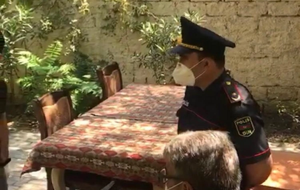 Bakının kafe və restoranları bu gün - FOTO