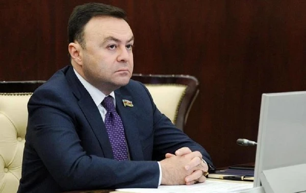 Elnur Allahverdiyev: “Gömrüklə bağlı qəbul edilən dəyişiklik çox ciddi yanlışlıqdır”