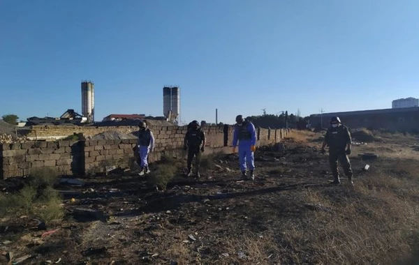 В Баку на территории зернового комбината обнаружены боеприпасы - ФОТО