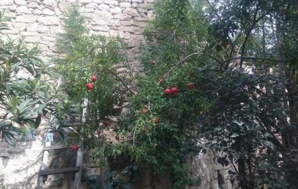 Bakıxanovun evi uçmaq üzrədir - FOTO