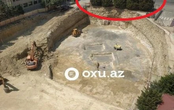 Ekologiya və Təbii Sərvətlər Nazirliyinin binasının yanında ağaclar məhv edilib? - VİDEO