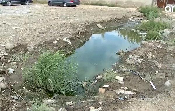 Bakıda şəhid adına yaraşmayan küçə – VİDEO