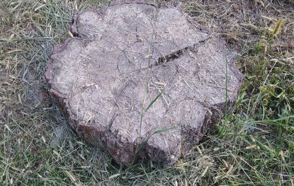 Nazirliklə xəstəxana arasında QALMAQAL - FOTO