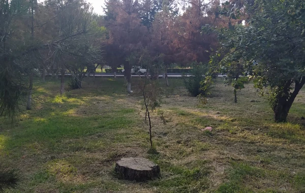 Nazirliklə xəstəxana arasında QALMAQAL - FOTO