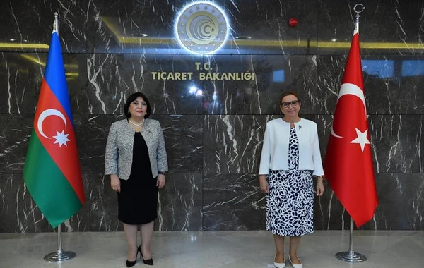 "Naxçıvan Azərbaycanın bizə əmanətidir" - Türkiyəli nazir