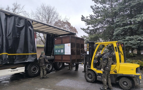Almaniyadan Azərbaycana 18 zubr yola salınıb