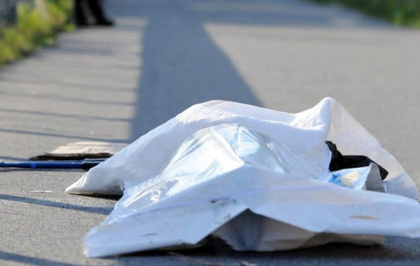 Bibisi oğlu 68 yaşlı kişini öldürdü, cinayəti xüsusi üsul ilə gizlətdi