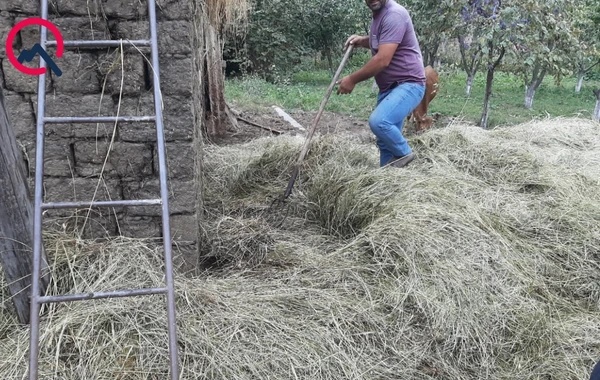 Həmin kənddə yenə yanğın oldu - FOTO