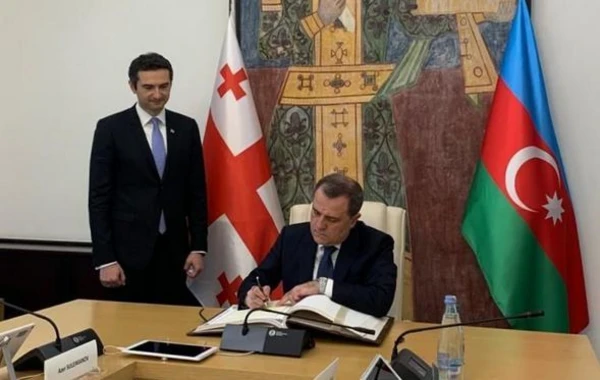 Джейхун Байрамов провел встречу в парламенте Грузии - ФОТО