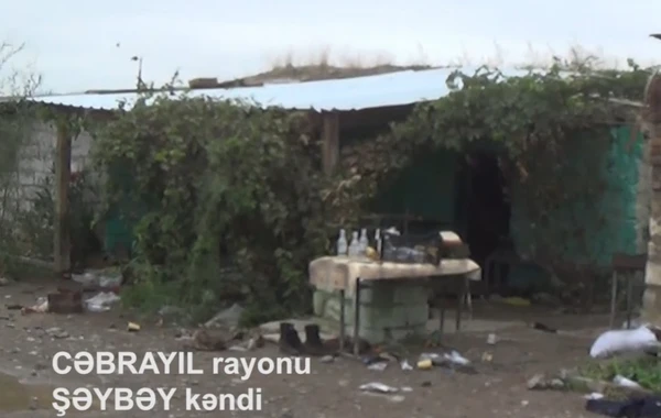 İşğaldan azad olunan Cəbrayıl rayonunun Şəybəy kəndinin görüntüləri - VİDEO
