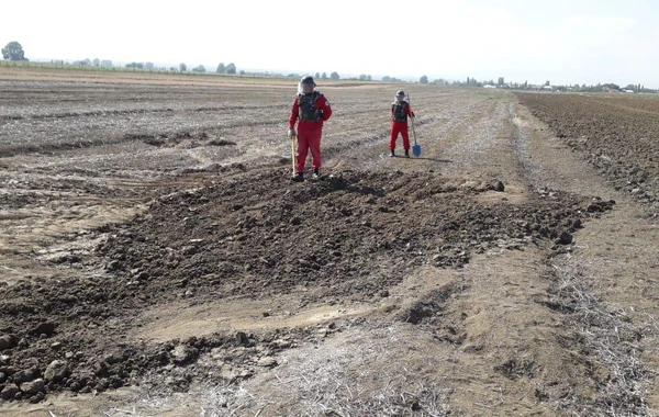 Cəbhəboyu ərazilərdə top mərmisi partladıcısı, dron, sursat aşkarlandı - FOTO