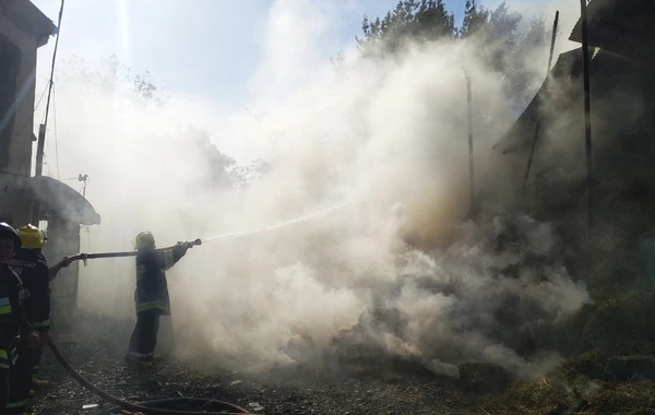 FHN düşmənin törətdiyi dağıntılarla bağlı məlumat yaydı