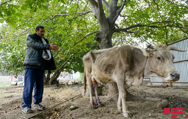 Ermənistan ordusunun əsas hədəfi Azərbaycanın mülki obyektlərdir - FOTO