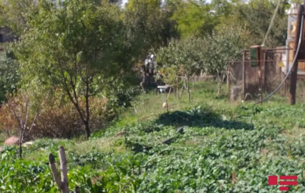 Azərbaycan jurnalistləri 28 il sonra işğaldan azad edilən Cəbrayılda - FOTO