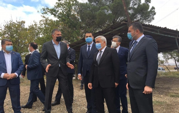 SOCAR Gürcüstanda azərbaycanlıların yaşadığı kəndlərə qaz xətləri çəkir - FOTO