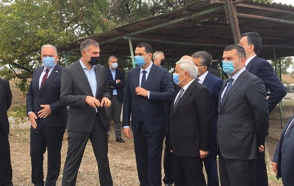 SOCAR Gürcüstanda azərbaycanlıların yaşadığı kəndlərə qaz xətləri çəkir - FOTO