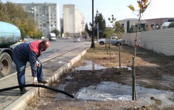 Gəncədə koronavirusa qarşı dezinfeksiya işləri aparılır - FOTO