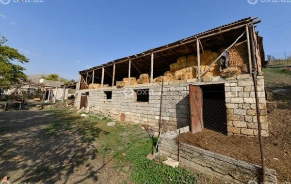 İşğaldan azad olunan Araköl kəndindən REPORTAJ - FOTO/VİDEO