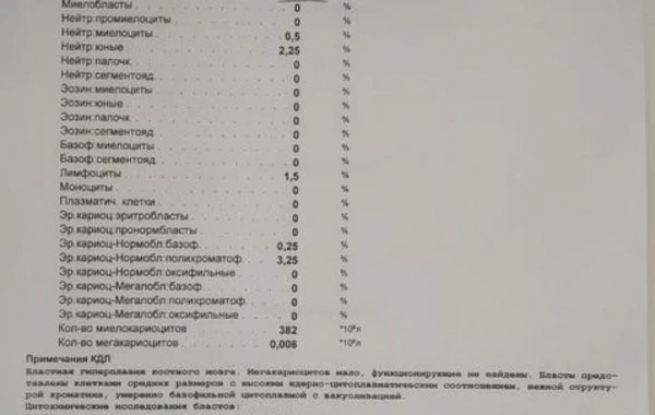 Atası cəbhədə döyüşən beş yaşlı Safiya Həsənzadənin təcili müalicəyə ehtiyacı var - MÜRACİƏT