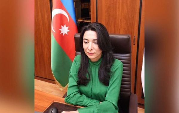 Türkdilli ölkələrin ombudsmanlarının onlayn iclası keçirilib